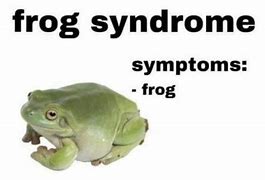Image result for Squashed Frog Meme