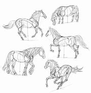 Image result for Black Forest Horse Drawing