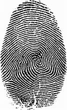 Image result for Fingerprint Vector Art