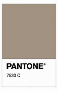 Image result for Pantone 7530 C