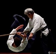 Image result for Aikido Art