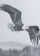 Image result for Draw Eagle Flying