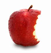 Image result for One Bite Apple