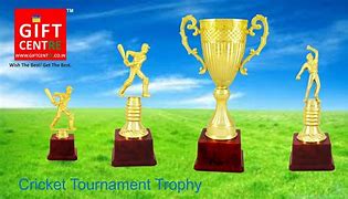 Image result for Cricket Tournament Trophies