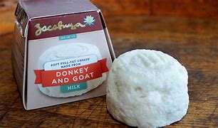 Image result for Donkey Cheese