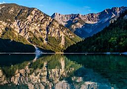 Image result for alpendee