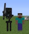 Image result for Wither Skeleton Girl