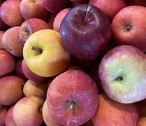 Image result for Half Peck of Apple's