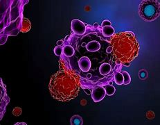 Image result for Smart Brain T-cell