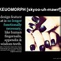 Image result for Skeuomorphism Tech