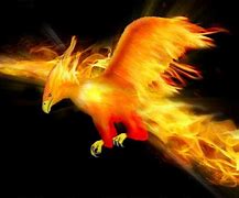 Image result for Ave Fenix Simbolo