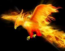 Image result for Ave Fenix Significado