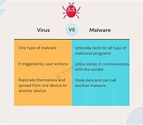 Image result for Virus vs Malware