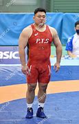 Image result for Japan Freestyle Wrestling