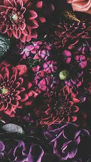 Image result for iPhone Wallpaper XS Max Flowers