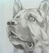 Image result for Cool Dog Drawings