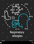 Image result for Airborne Allergies