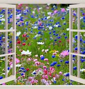 Image result for Window Frame Art Ideas