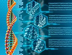 Image result for Human DNA Petabytes