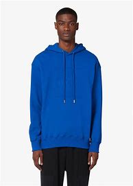 Image result for PepsiCo Hoodie