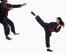 Image result for Karate Is a Style of Kung Fu