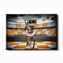 Image result for Smokey Tennessee Mascot Cartoon