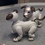 Image result for Sony Aibo Apart