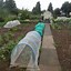 Image result for 25 Square Meters Allotment Rod