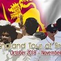 Image result for England Cricket Team Logo
