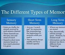 Image result for Human Types of Emmory