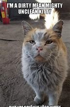 Image result for Funny Cat Memes Dirty