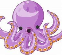 Image result for Octopus Funny Wallpaper