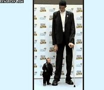 Image result for Tall vs Short Rude GIF