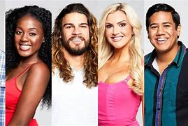 Image result for Big Brother Cast