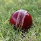 Image result for Cricket Bat and Ball Photo Download