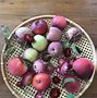 Image result for Heritage Apples Clemmons NC