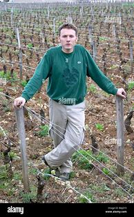 Image result for Arnaud Chopin Cote Nuits Villages