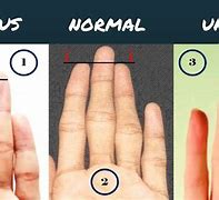 Image result for Human Hand Dimensions