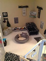 Image result for Dog Room Decor Ideas