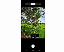 Image result for Samsung Camera Filters