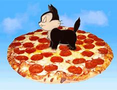 Image result for Cat Pizza Funny