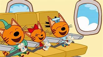 Image result for Airplane Eat Cat