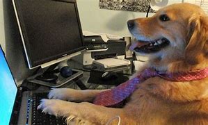 Image result for Dog Clicking On Keyboard