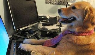 Image result for Dog Art Typing