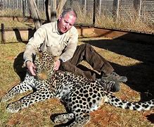 Image result for Cheetah and Human