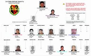 Image result for Los Zetas Rank Structure
