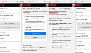 Image result for Can You Pause Your Netflix Subscription