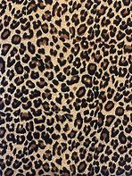 Image result for Cheetah Leopard Print