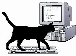 Image result for Cat Enters PC Case