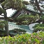 Image result for Visiting Imperial Palace Tokyo